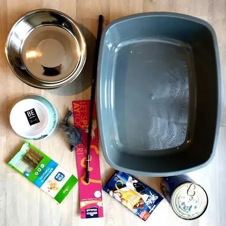 Apartamento Cocooning Mont de Marsan