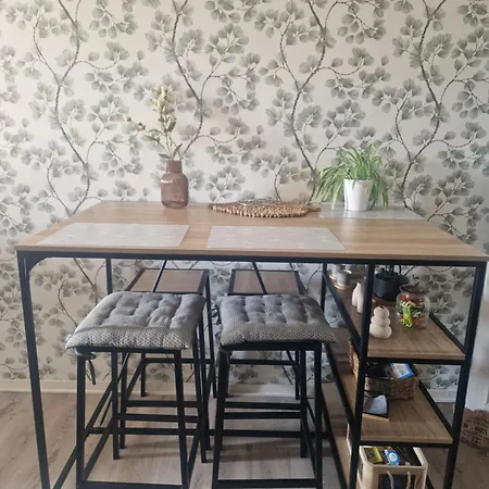 Apartamento Cocooning Mont de Marsan