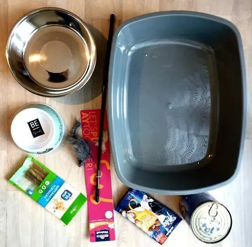 Appartement Cocooning Mont-de-Marsan